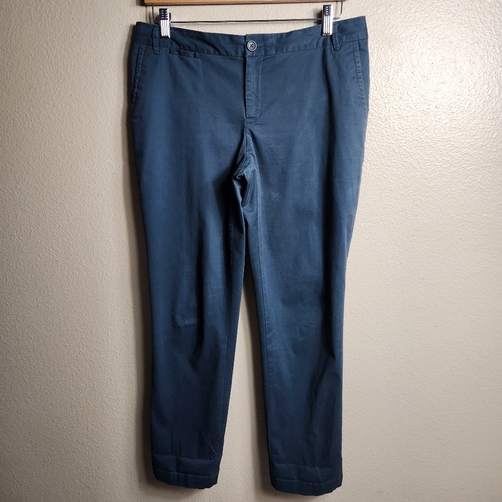 Banana Republic Womens Dark Gray Midrise Ryan Fit Straight Leg Pants-Size 10